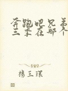 奔跑吧兄弟第十三季在哪个平台播出封面