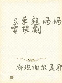 《单亲妈妈》2电视剧封面