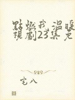 点燃我温暖你电视剧23集免费观看