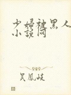 少妇被黑人奸污小说网