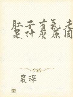 肚子有气老放屁是什么原因