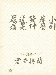 尿道发痒小便刺痛是什么引起的