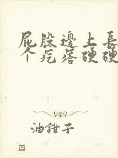 屁股边上长了一个疙瘩硬硬的封面