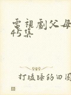 电视剧父母爱情45集