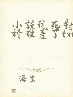 小说我死对头终于破产了txt封面