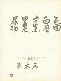 尿里有白色条状物是怎么回事