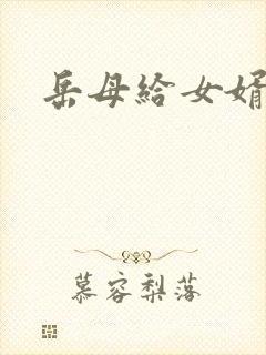 岳母给女婿的信