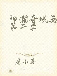 神澜奇域无双珠第二季封面