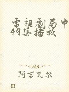 电视剧局中人第49集播放封面