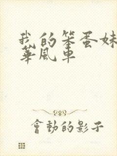 我的笨蛋妹妹芭华风车封面