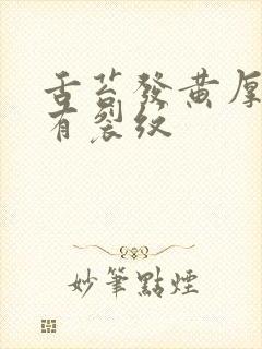 舌苔发黄厚腻又有裂纹封面