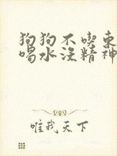 狗狗不吃东西只喝水没精神想趴着