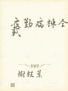 夜勤病栋全集下载