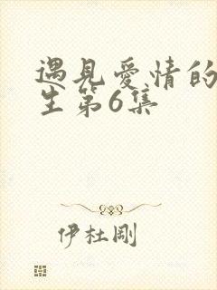 遇见爱情的利先生第6集封面