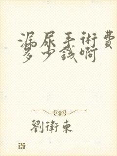 漏尿手术费用是多少钱啊