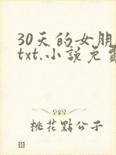 30天的女朋友txt.小说免费阅读