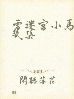 雪迷宫小马哥第几集