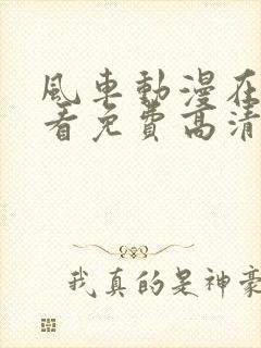 风车动漫在线观看免费高清封面