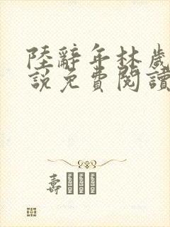 陆辞年林岁安小说免费阅读最新章节封面