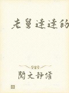 老舅达达的结局