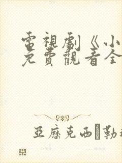 电视剧《小舅》免费观看全集高清封面