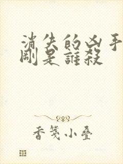 消失的凶手段志刚是谁杀