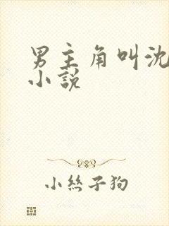 男主角叫沈秋的小说