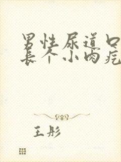 男性尿道口里面长个小肉疙瘩是怎么回事封面