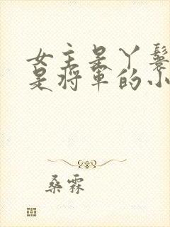 女主是丫鬟男主是将军的小说