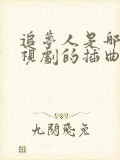 追梦人是哪部电视剧的插曲