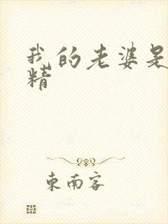 我的老婆是狐狸精