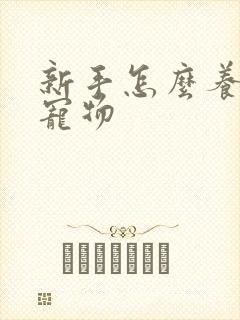 新手怎么养兔子宠物