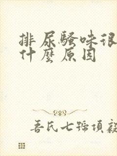 排尿骚味很重是什么原因