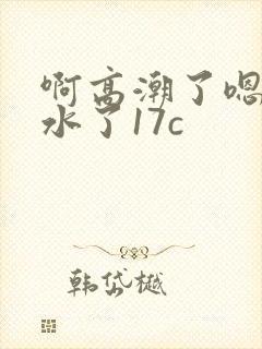 啊高潮了嗯～喷水了17c