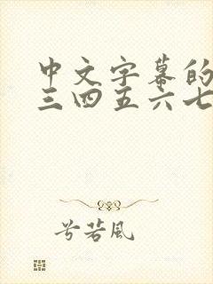 中文字幕的一二三四五六七八区乱封面