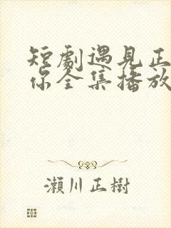 短剧遇见正确的你全集播放封面