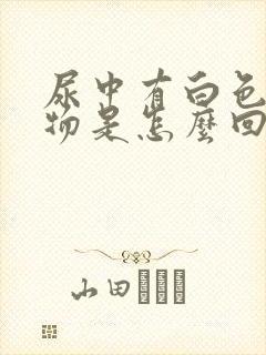 尿中有白色沉淀物是怎么回事