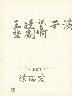 王晓赟子演过哪些剧啊