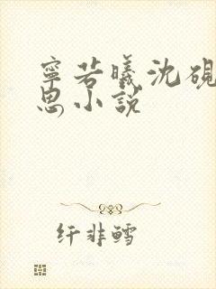 宁若曦沈砚舟黎思小说