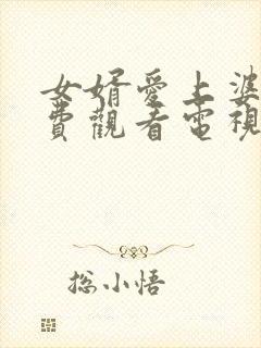 女婿爱上婆婆免费观看电视剧封面