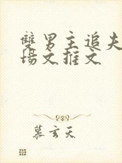 双男主追夫火葬场文推文