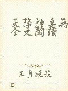 天降神妻无删减全文阅读