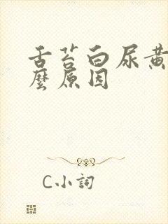 舌苔白尿黄是什么原因