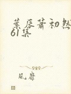 叶辰萧初然3361集