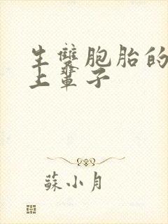 生双胞胎的夫妻上辈子封面