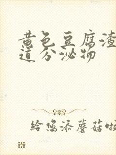 黄色豆腐渣状阴道分泌物封面