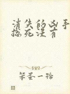 消失的凶手小许总死没有封面