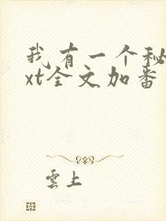 我有一个秘密txt全文加番外封面