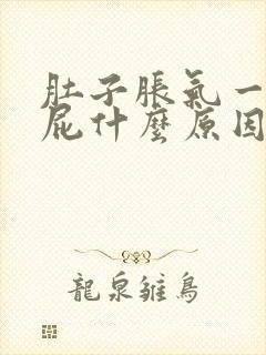 肚子胀气一直放屁什么原因