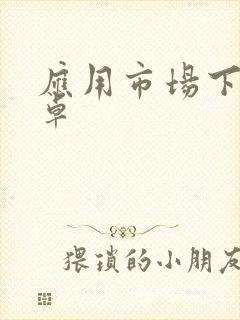 应用市场下载安卓